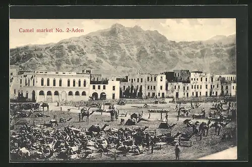 AK Aden, Camel Market