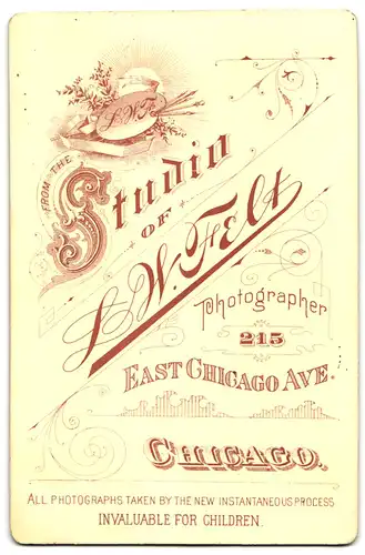 Fotografie L. W. Felt, Chicago, East Chicago Ave., Portrait junge Frau im karierten Kleid mit Locken