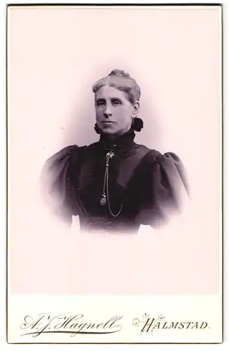 Fotografie A. J. Hagnell, Halmstad, Portrait ältere Dame im Biedermeierkleid mit Puffärmeln, Kette