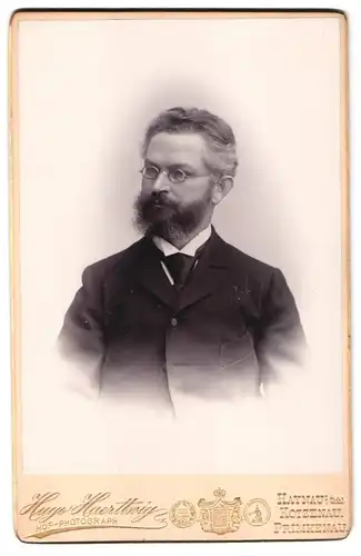 Fotografie Hugo Haerttwig, Haynau i. Schl., Portrait Mann im Anzug mit Brille und Vollbart