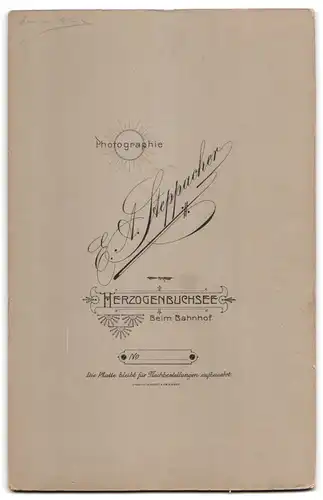 Fotografie E. A. Steppacher, Herzogenbuchsee, beim Bahnhof, Portrait rundliche Frau im Biedermeierkleid mit Brosche