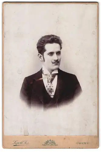 Fotografie Leopold Sess, Wien, Mariahilferstr. 177, Portrait junger Herr mit Oberlippenbart trägt gepunktete Krawatte