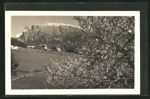 AK Collalbo, Ortsansicht mit Berge