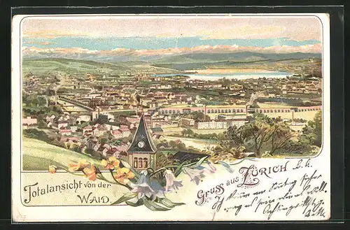 Lithographie Zürich, Totalansicht von der Waid