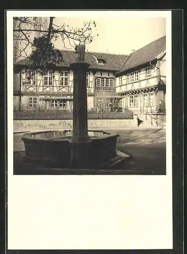 AK Basel, Stachel-Schützenhaus am Petersplatz