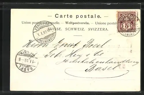 AK Zürich, Hotel Waldhaus Dolder