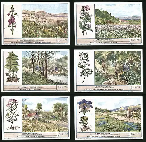 6 Sammelbilder Liebig, Serie Nr. 1451: Plantes Médicinales, Gentiana acaulis, Heilpflanzen, Digitalis purpurea