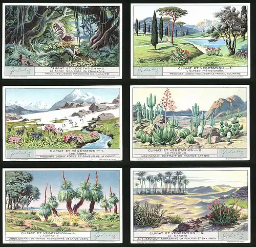 6 Sammelbilder Liebig, Serie Nr. 1277: Climat et Végetation, Wüste, Kaktus, Dschungel, Sahara, Alpen