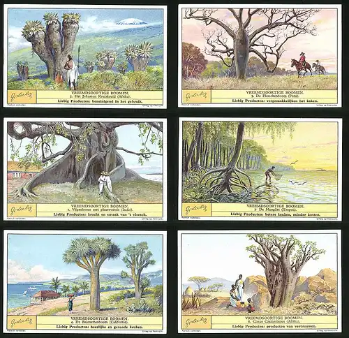 6 Sammelbilder Liebig, Serie Nr. 1306: Vreemdsoortige Boomen, Afrika, Baum, Indien, Peru, Kalifornien