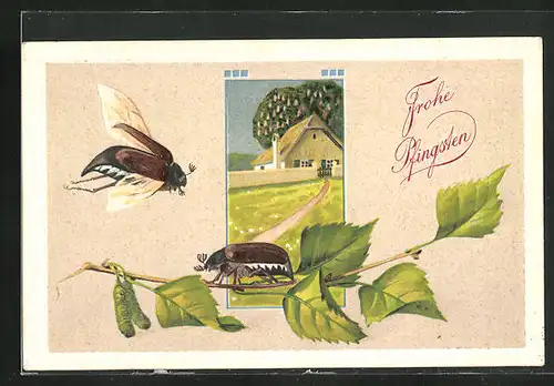 Präge-AK Ortspartie mit Haus und Bäumen, Zwei Maikäfer an einem Zweig, Pfingstgruss