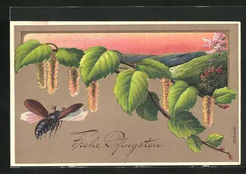 Präge-AK Landschaft mit blühenden Bäumen, Maikäfer an einem Zweig, Pfingstgruss