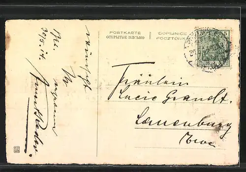 Präge-AK Maikäfer auf einem Zweig, Pfingstgruss