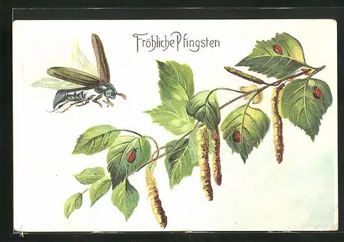 Präge-AK Maikäfer und Marienkäfer an einem Zweig, Pfingstgruss