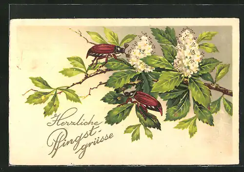 AK Zwei Maikäfer an einem Zweig mit Blüten, Pfingstgruss