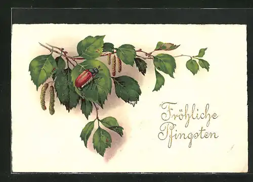 AK Maikäfer auf einem Zweig, Pfingstgruss