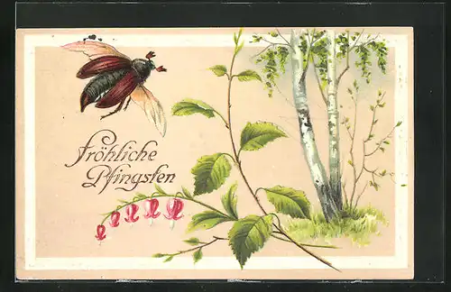 Präge-AK Birkenbäume und Zweig mit Maikäfer, Pfingstgruss
