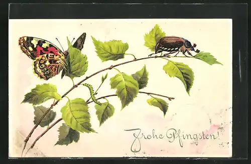 Präge-AK Maikäfer auf einem Zweig und Schmetterling, Pfingstgruss