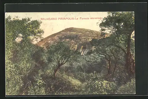AK Balnearo Piriapolis, La Foresta encantada