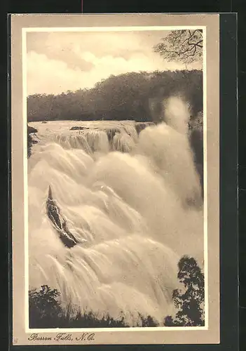 AK Basson Falls, Blick auf den Wasserfall