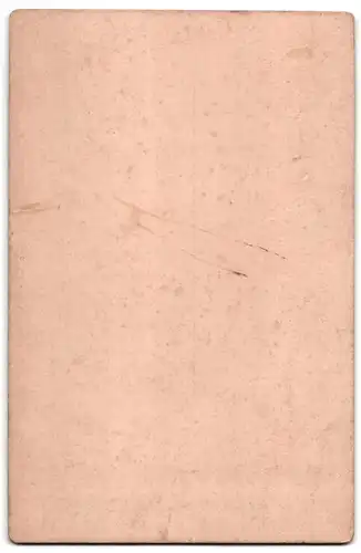 Fotografie D.L. Schröder, Bremen, Wall 28, Herr mit Schnauzbart nebst Dame mit Schmuck, Halskette mit Anhänger