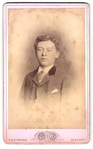 Fotografie F. E. Stephan, Glauchau, Schützenplatz, Portrait junger Mann im Anzug mit Tolle