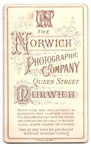 Fotografie The Norwich Photographic, Norwich, Queen Street, Portrait Dame im Biedermeierkleid mit Brosche