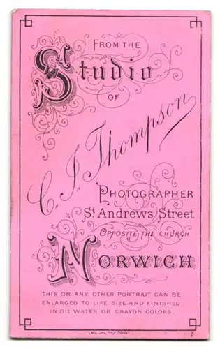 Fotografie C. J. Thompson, Norwich, St. Andrews Street, Portrait junge Dame im hübschen Kleid