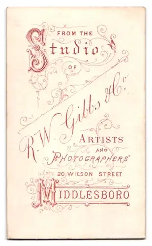 Fotografie R. W. Gibbs & Co., Middlesboro, Wilson Street 220, Portrait Dame im Biedermeierkleid auf einen Tisch gelehnt