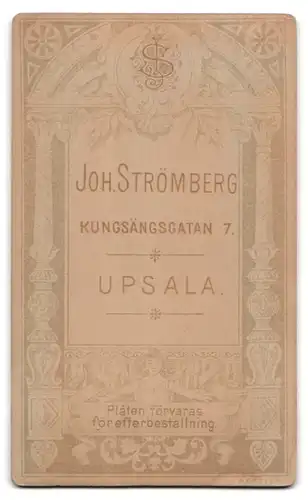 Fotografie Joh. Strömberg, Upsala, Kungsängsgatan 7, junge Damen mit Hut & Schirm vor Landschaftskulisse