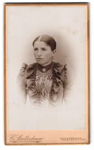 Fotografie Carl Stallechner, Trostberg a. Alz, Portrait Dame im Biedermeierkleid mit Brosche