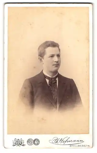 Fotografie Ph. Hofmann, Stollberg i. S., am Bahnhof, Portrait junger Mann im Anzug mit Krawatte