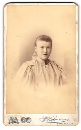 Fotografie Ph. Hofmann, Stollberg i. S., am Bahnhof, Portrait Mädchen im Biedermeierkleid mit Brosche