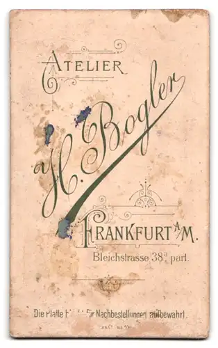 Fotografie H. Bogler, Frankfurt a. M., Bleichstr. 38, Junge Dame im Kleid mit Halstuch