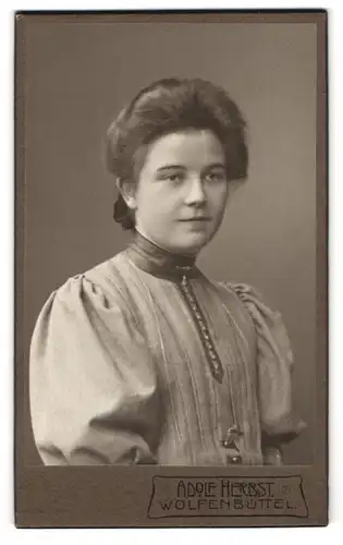 Fotografie Adolf Herbst, Wolfenbüttel, Langeherzogstr. 38, Hübsche Frau im grauen Kleid mit dunklen Haaren