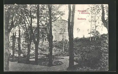 AK Neustadt i. Holstein, Blick vom Park auf die Seeburg