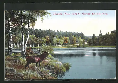 AK Gernrode a. H., Silberteich mit Hirsch