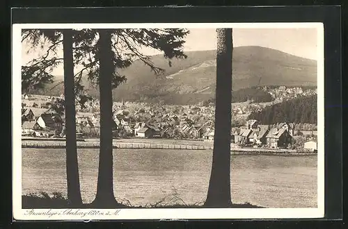 AK Braunlage i. H., Ausblick aus dem Wald auf den Ort