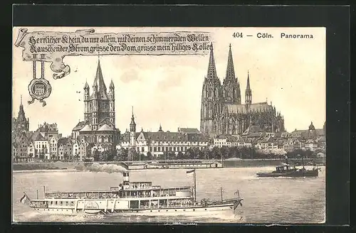 AK Köln, Panorama mit Dom und Dampfer