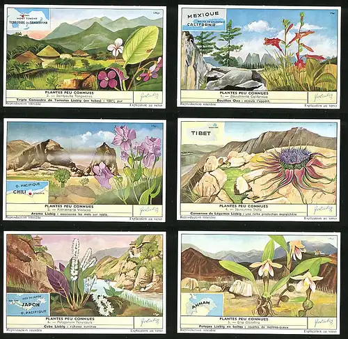 6 Sammelbilder Liebig, Serie Nr. 1672: Plantes peu Connues, Eria Globifera, Polygonum Tenuicaule
