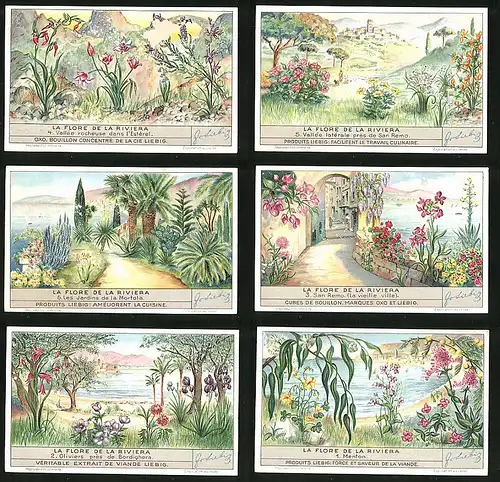6 Sammelbilder Liebig, Serie Nr. 1354: La Flore de la Riviera, Menton, Oliviers, San Remo, Les Jardins de la Mortola