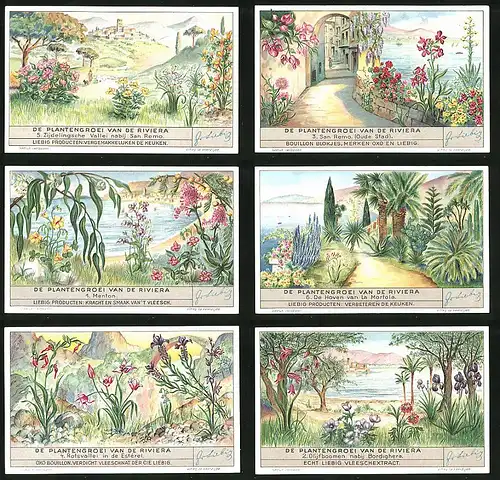 6 Sammelbilder Liebig, Serie Nr. 1354: De Plantengroei van de Riviera, Olijfboomen nabij Bordighera, Menton