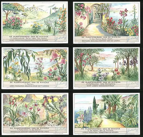 6 Sammelbilder Liebig, Serie Nr. 1354: De Plantengroei van de Riviera, Rotsvallei in de Estérel, Menton, San Remo