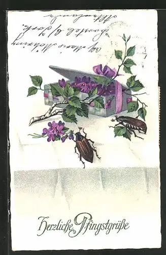 Künstler-AK Maikäfer mit Birkenzweig und Blüten