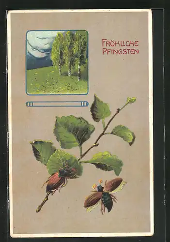 Präge-AK Maikäfer auf Zweig