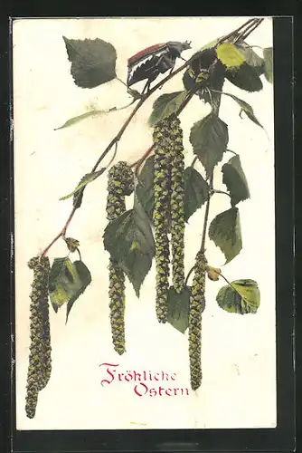 AK Maikäfer auf Birkenzweig