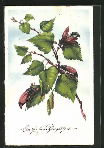 Künstler-AK Maikäfer sitzen auf Birkenzweig