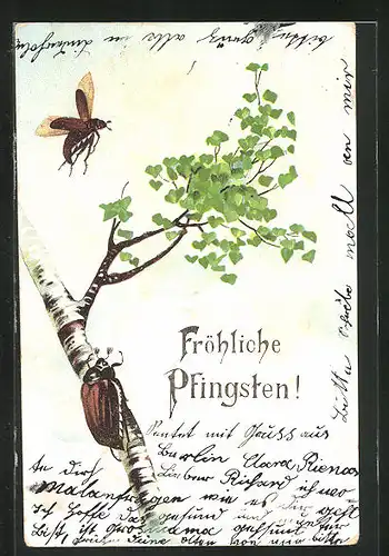 Künstler-AK Maikäfer an einer Birke