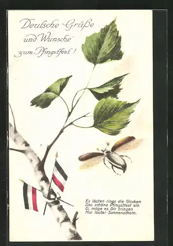 AK Deutsche Grüsse mit Maikäfer und Birke