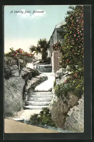 AK Bermuda, a sketchy path