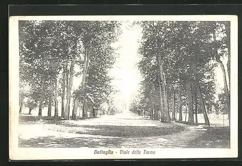 AK Battaglia, Viale delle Terme